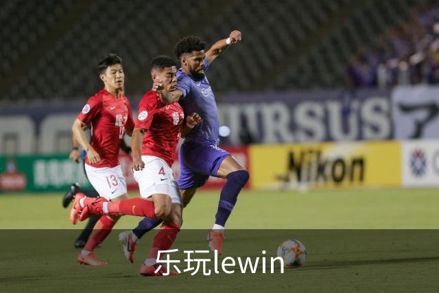 乐玩lewin公司简介